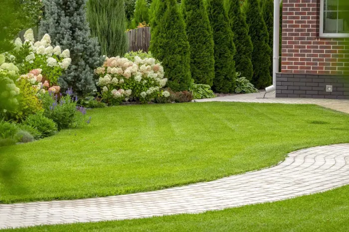 Jose Matias Landscaping's Other Services Jose Matias Landscaping's Other Services