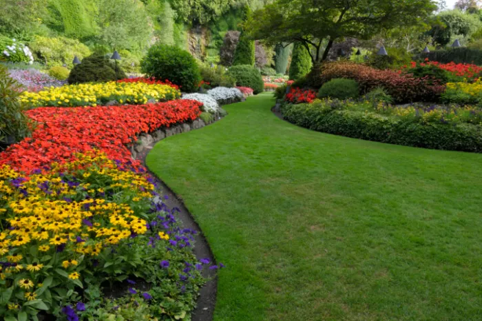 Landscape Design Landscape Design