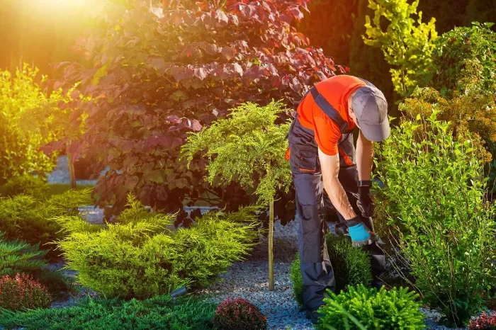 Landscaper in Fairhope, AL Landscaper in Fairhope, AL