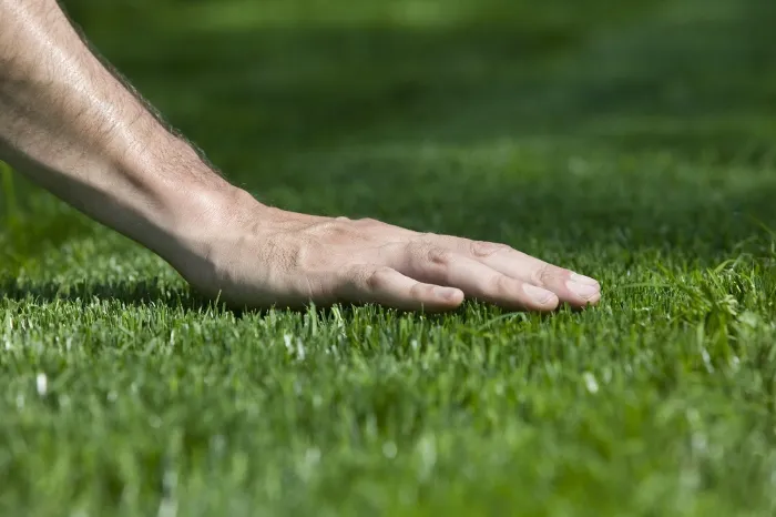Lawn Care Service Lawn Care Service