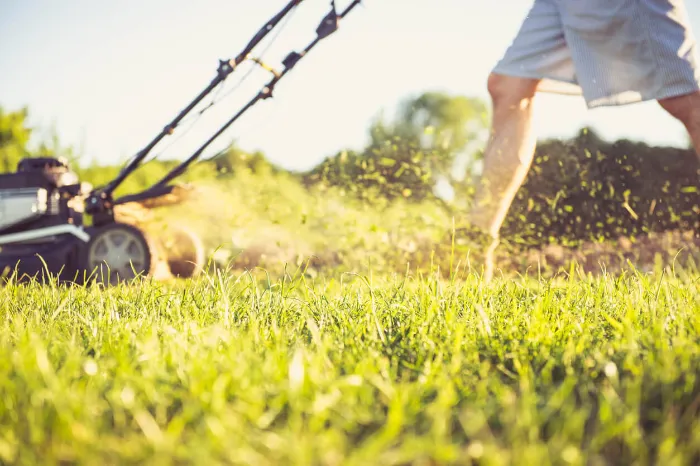 Lawn Mowing Lawn Mowing