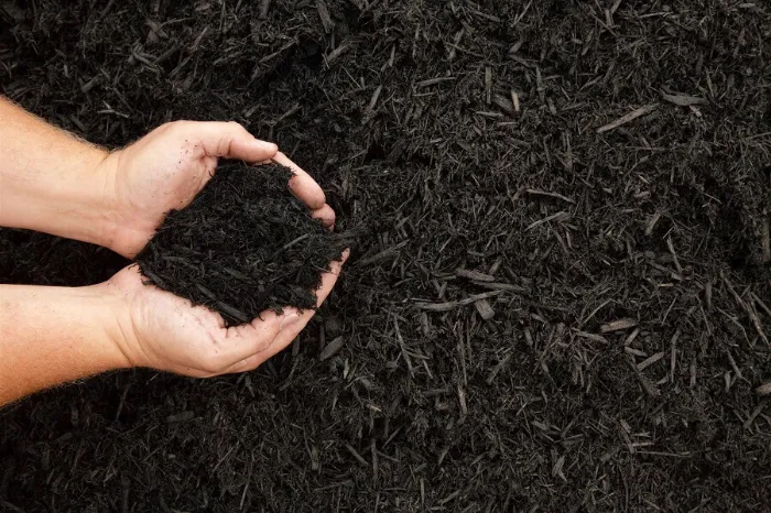 Mulching Mulching