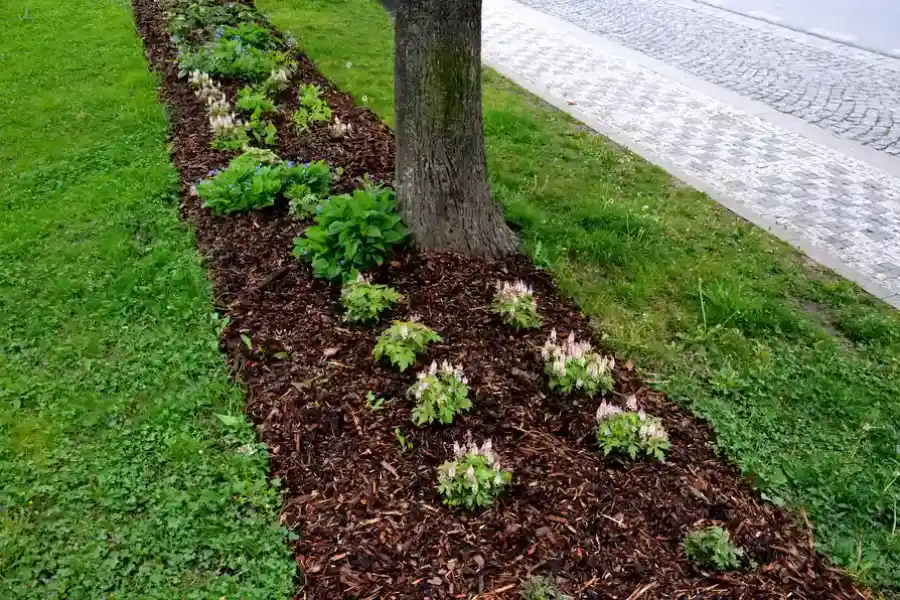 Affordable Mulching Fairhope, AL Affordable Mulching Fairhope, AL
