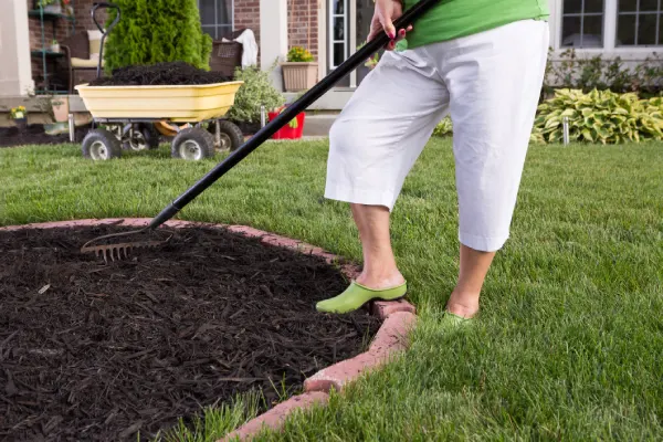 Experienced Mulching Fairhope, AL Experienced Mulching Fairhope, AL