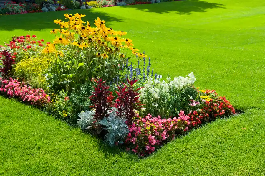 How To Choose Plants That Complement Your Landscape Design Fairhope, AL How To Choose Plants That Complement Your Landscape Design Fairhope, AL