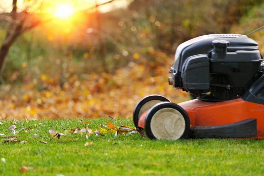 Key Services Offered By Professional Lawn Care Providers in Fairhope, AL Key Services Offered By Professional Lawn Care Providers in Fairhope, AL