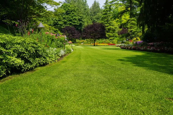 Local Lawn Care Service Fairhope, AL Local Lawn Care Service Fairhope, AL