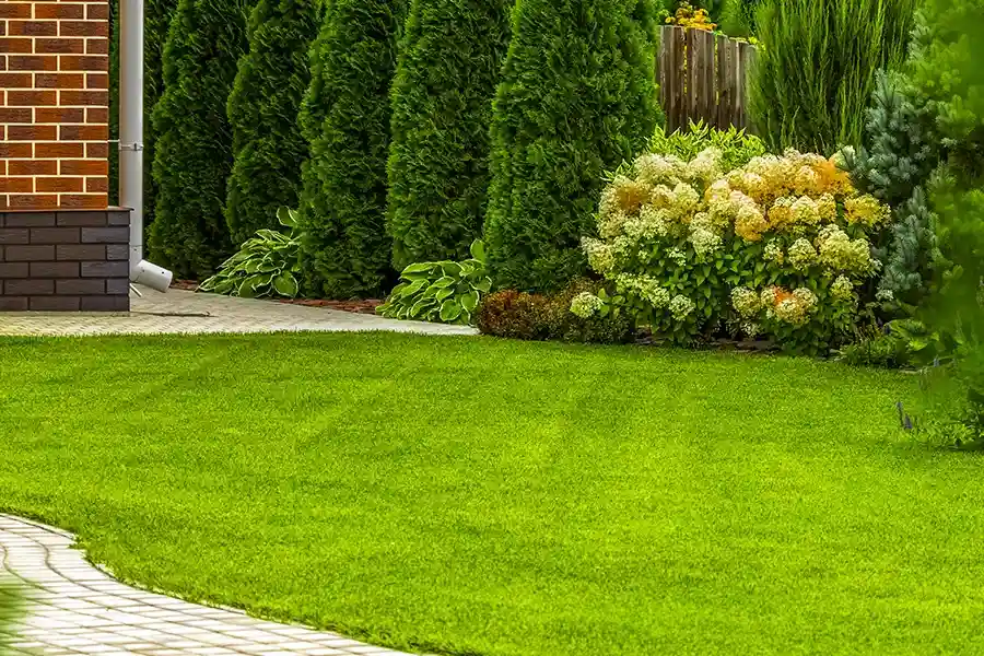 Professional Lawn Care Service Fairhope, AL Professional Lawn Care Service Fairhope, AL