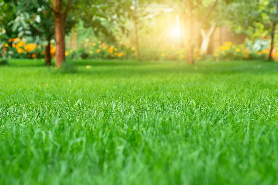 Seasonal Lawn Care Strategies For A Healthy Green Yard Fairhope, AL Seasonal Lawn Care Strategies For A Healthy Green Yard Fairhope, AL