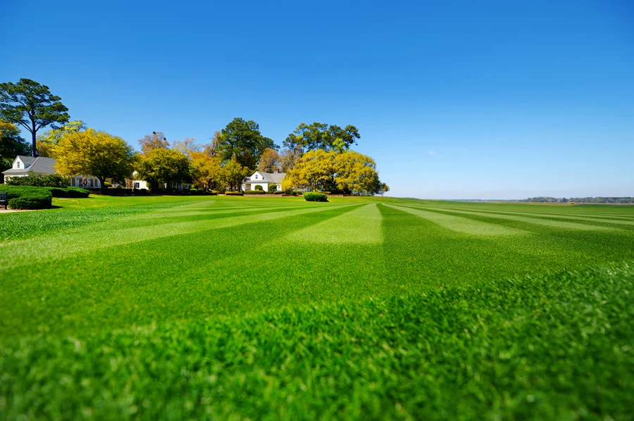 Seasonal Lawn Care Strategies For A Healthy Green Yard in Fairhope, AL Seasonal Lawn Care Strategies For A Healthy Green Yard in Fairhope, AL