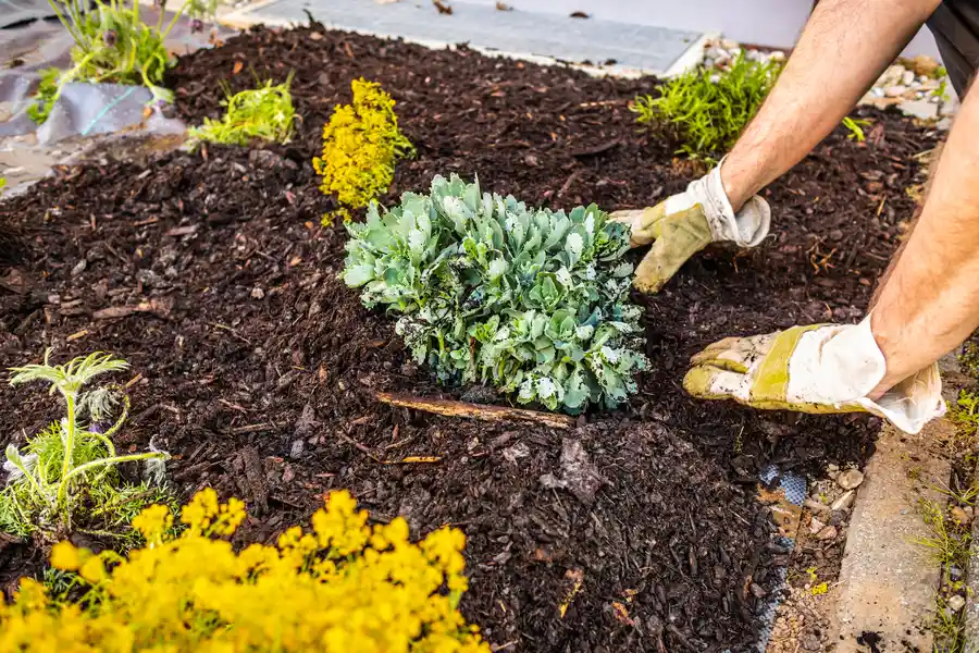 Top-rated Mulching Fairhope, AL Top-rated Mulching Fairhope, AL
